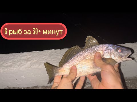 Видео: Рыбалка в самый пик ночи в центре Сочи!!