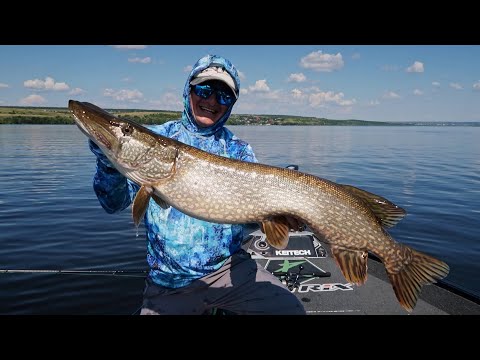 Видео: С ЭТОЙ ПРИМАНКОЙ БЕЗ РЫБЫ НЕ ОСТАНЕШЬСЯ! | В чём секрет успешной рыбалки?