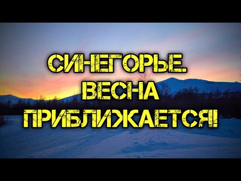Видео: Синегорье 31.03.2023г.Близится весна.