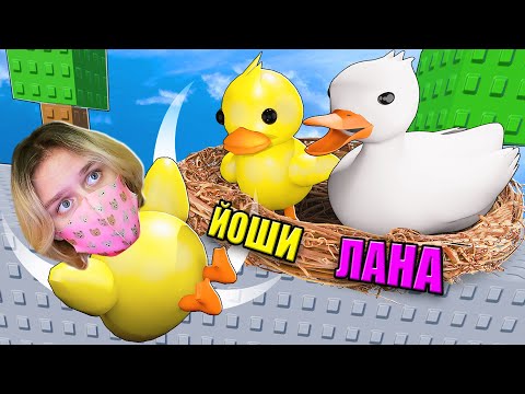 Видео: СЕМЬЯ УТОК БРОСИЛА МЕНЯ!