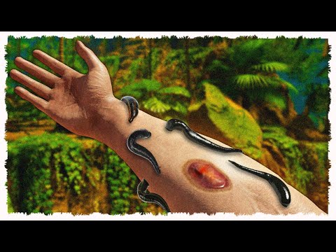 Видео: Я школьный автобус для пиявок.