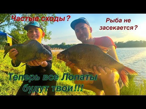 Видео: ТРИ ЛУЧШИХ ФИДЕРНЫХ МОНТАЖА.Теперь вся рыба будет твоя‼️