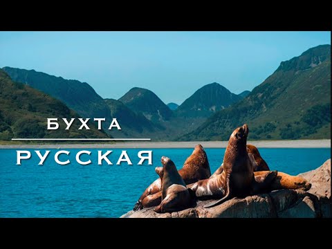 Видео: Дикарём на Камчатку #10. Наблюдаем китов, рыбачим и наслаждаемся океаном. 2 серия.