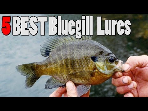 Видео: ТОП-5 приманок для синежаберного окуня