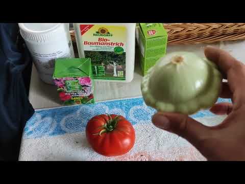 Видео: НЕБОЛЬШОЙ УРОЖАЙ ОВОЩЕЙ.🥒🍅🍈ЗАГОТАВЛИВАЮ ЧАБРЕЦ.ЗАЦВЕЛИ ОСЕННИЕ КРОКУСЫ.🌷🌷🌷