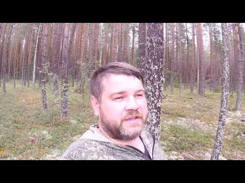 Видео: ГРИБНАЯ разведка удивила...