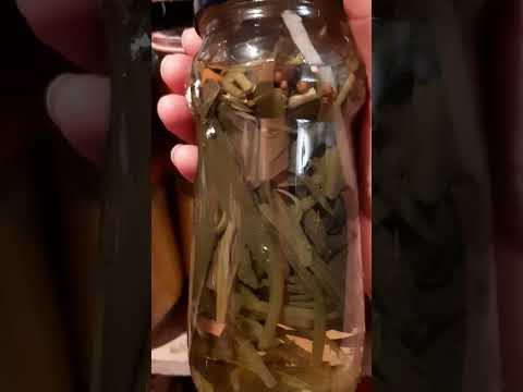 Видео: обзор погреба-кладовочки, наши запасы и заготовки 😊😊