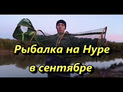 Видео: Рыбалка на Нуре в сентябре