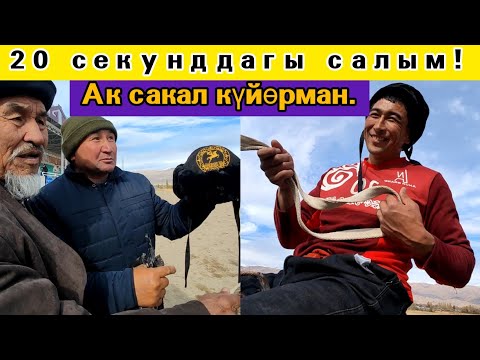 Видео: Манас Ниязовтун чемпионаттагы салымдары!
