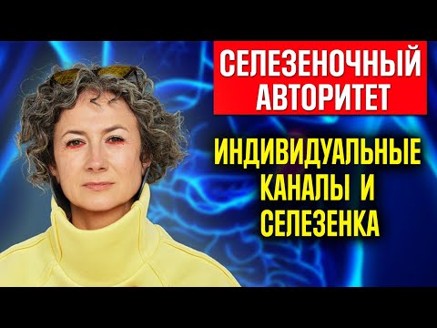 Видео: СЕЛЕЗЕНОЧНЫЙ АВТОРИТЕТ/спонтанный манифестор/спонтанный проектор/ внутренний авторитет/ВЫЖИВАНИЕ