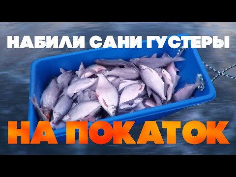 Видео: Ловля на покаток.