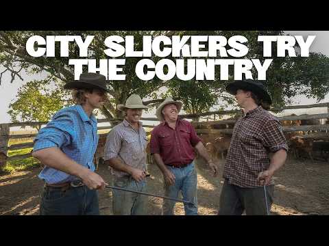 Видео: Это не TikTok, ребята.