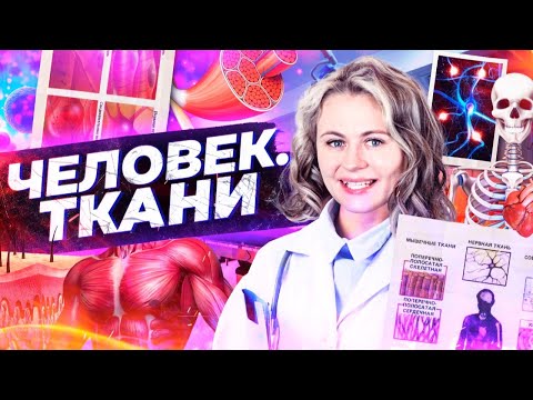Видео: Человек. Ткани | Летний курс | БиоФАК 2022