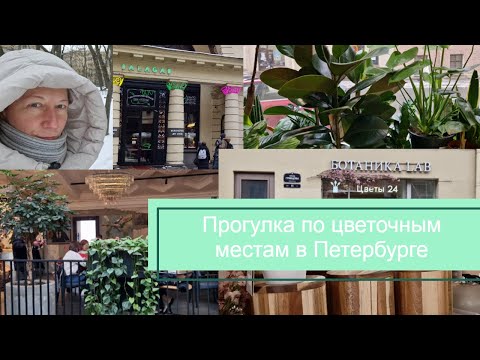 Видео: Прогулка по цветочным местам в Петербурге