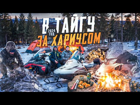 Видео: ОТОРВАЛИСЬ ПО ХАРИУСУ//В ТАЙГУ С ПАЛАТКАМИ НА НЕДЕЛЮ//ЭКСПЕДИЦИЯ НА СЕВЕР//ПОЛНЫЙ ВЫПУСК 2024