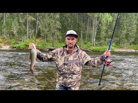 Видео: Рыбалка. Рекордный хариус! История одной ямки!