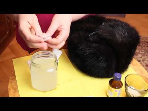 Видео: Как правильно почистить меховую шапку после зимы