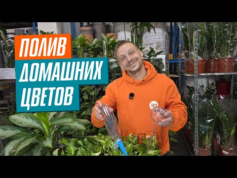 Видео: Какой выбрать АВТОПОЛИВ ДЛЯ КОМНАТНЫХ РАСТЕНИЙ?