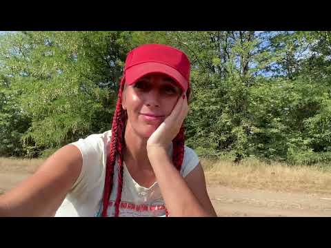 Видео: Уборка лука 🧅 Июль 2025