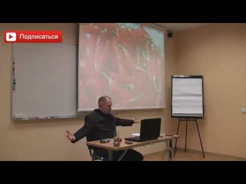 Видео: Он не женится, но я не уйду от него. Руслан Нарушевич