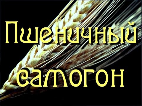 Видео: Самогонщик Тимофей. Пшеничный самогон. Всенародный дистиллятор.