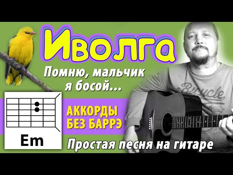 Видео: ИВОЛГА (ПОМНЮ, МАЛЬЧИК Я БОСОЙ) - ПРОСТАЯ ПЕСНЯ НА ГИТАРЕ (АККОРДЫ БЕЗ БАРРЭ) БОЙ (COVER)