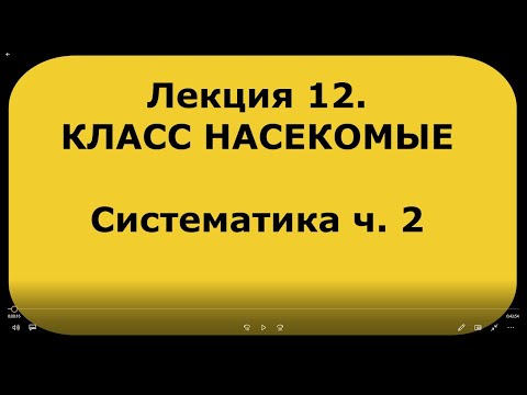 Видео: Зоология беспозвоночных. Лекция 12. Класс насекомые. Систематика насекомых ч. 2