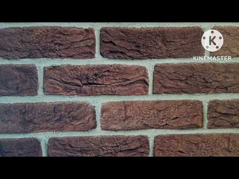 Видео: Плюсы трезвой жизни