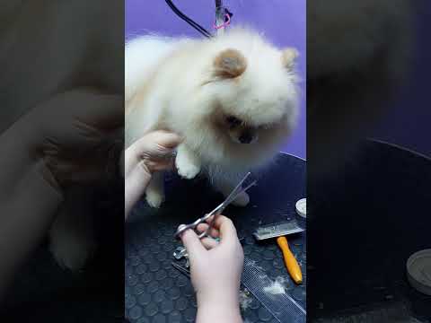 Видео: 10 марта 2024 г.