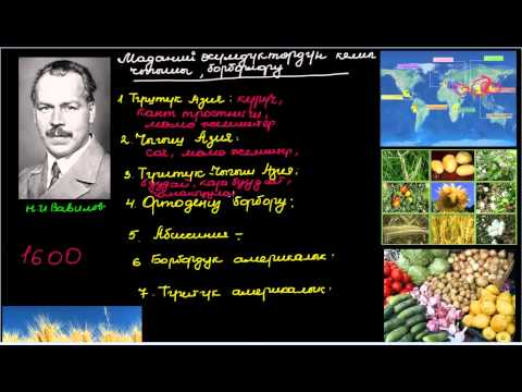 Видео: Маданий өсүмдүктөрдүн келип чыгышы, борборлору
