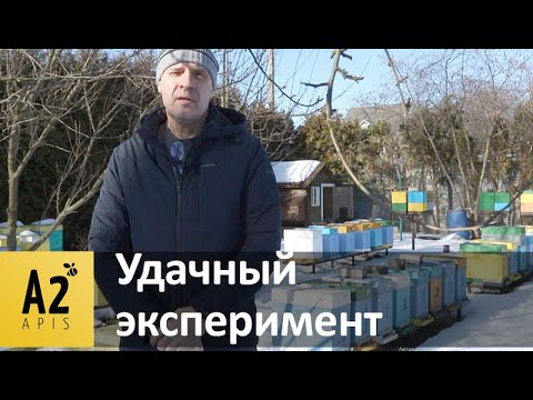 Видео: Проще не бывает: #Пчёлы зимуют в ППС ульях без влаги, канди не даём
