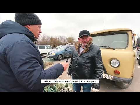 Видео: Г.Орёл Сельскохозяйственная Ярмарка-Выставка Осень от 5 Ноября 2022