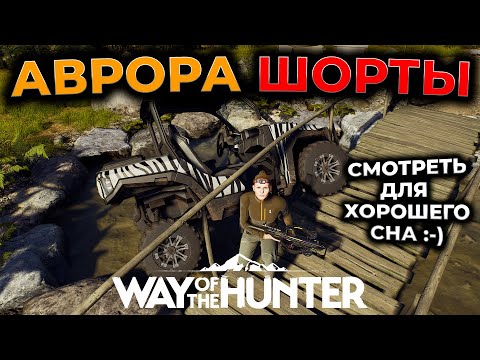 Видео: [СТРИМ] Way of the Hunter ► АВРОРА ► Aurora Shores DLC ► RTX 4090