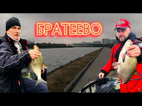 Видео: Рыбалка в Братеево. Осень 2024 #рыбалка #ловлялеща