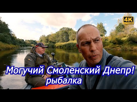 Видео: Рыбалка на могучем Смоленском Днепре. Спиннинг в сентябре 2023