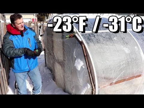 Видео: Как наш зимний сад выжил при температуре -23°F (-31°C) без отопления
