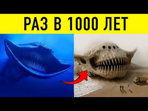 Видео: Редкие Животные, Которые Рождаются Раз в Тысячу Лет