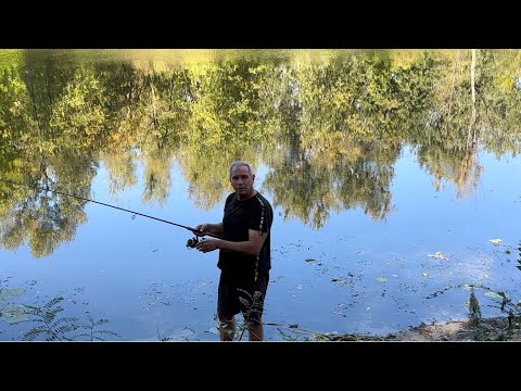 Видео: ПСЁЛ// МЫ С ВАМИ НА РЫБАЛКЕ🎣👋🏻