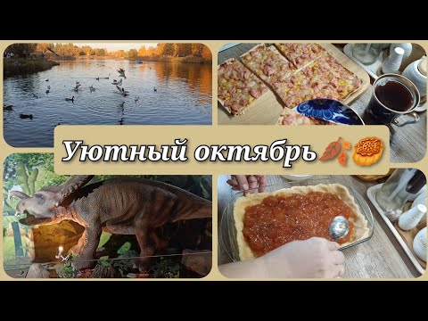 Видео: Солнечный и снежный октябрь🍂Прогулка с динозаврами 🦕🦖 Домашняя выпечка🍕🥮