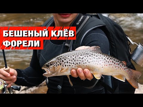 Видео: Рыбалка в Карпатах. Рыбалка на Форель. Рыбалка на голавля