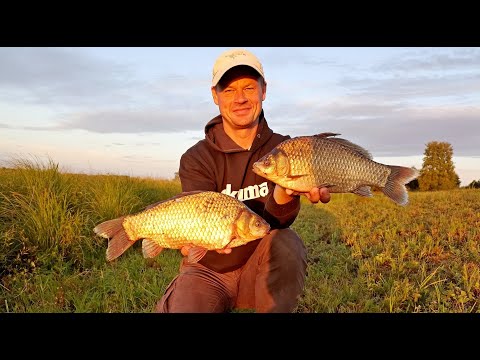 Видео: КАРАСІ МОНСТРИ НА ПОПЛАВЧАНКУ!!! Риболовля в лататті
