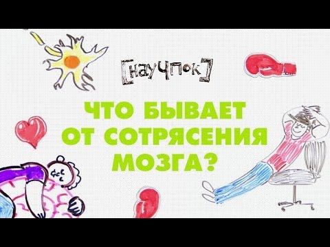 Видео: Научпок - Что бывает от сотрясения мозга?