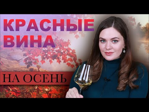 Видео: ОСЕННИЕ КРАСНЫЕ ВИНА: пробуем Примитиво, GSM, Саперави, Амароне