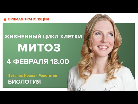 Видео: Биология| Жизненный цикл клетки. Митоз.