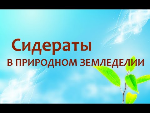 Видео: Природное земледелие - Сидераты