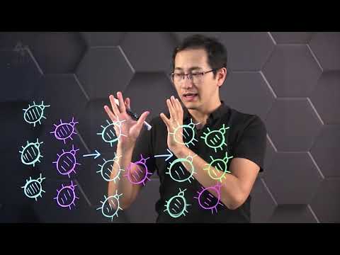 Видео: Естественный отбор. Борьба за существование. 10 класс.