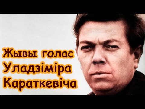 Видео: Уладзімір Караткевіч - Апошні юбілей пісьменніка - Жывы голас (1980)