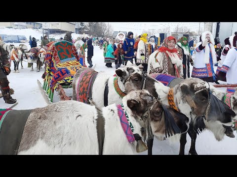 Видео: Ханты. Яркий, колоритный праздник – День Оленевода | Тут султам 7.04.22
