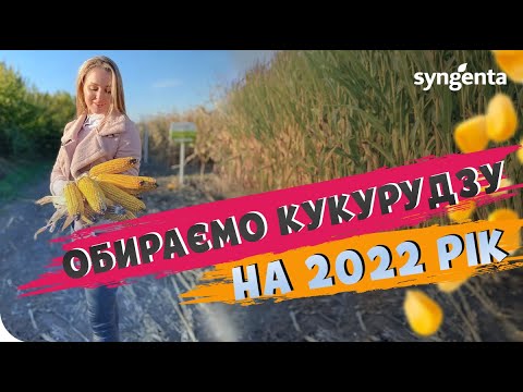 Видео: ГІБРИДИ КУКУРУДЗИ НА 2022 РІК. 🌽 ЯК ОБРАТИ КУКУРУДЗУ? #ТопАгрополів