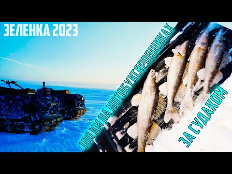 Видео: ЛОВЛЯ СУДАК НА КАМСКОМ ВОДОХРАНИЛИЩЕ У ДЕРЕВНИ БЫСТРАЯ